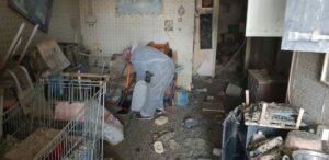 פינוי ירושה עמוסה בזבל רקוב ישן - עשה זאת בעצמך